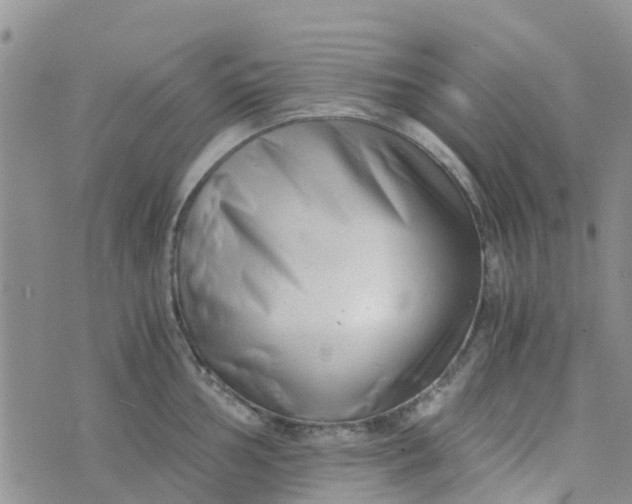 X0000073921002200609011804