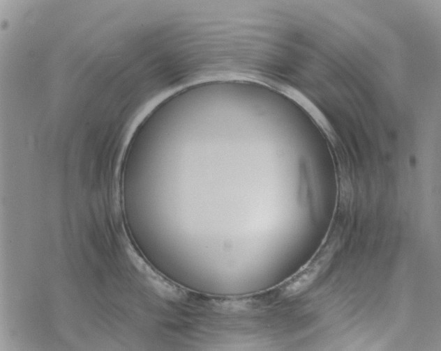 X0000073921004200609011804