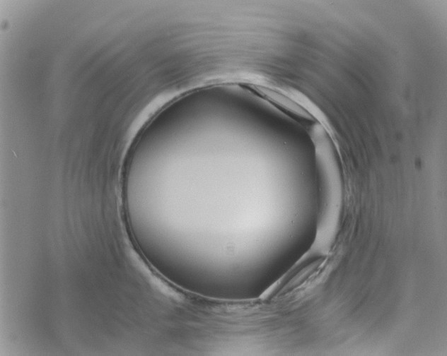 X0000073921005200609011804