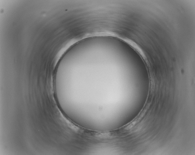 X0000073921006200609011804