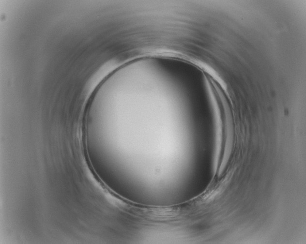 X0000073921007200609011804