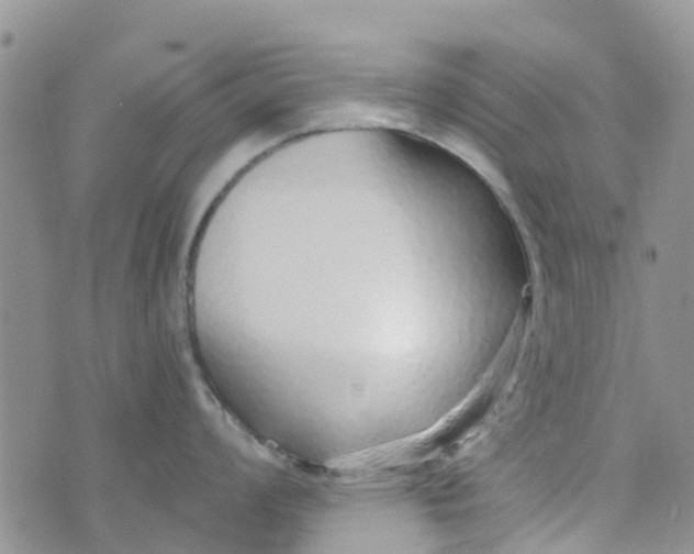 X0000073921008200609011804