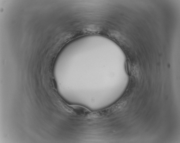 X0000073921009200609011803