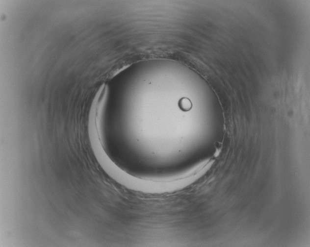 X0000073921010200609011803