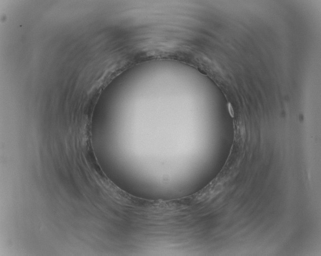 X0000073921012200609011803