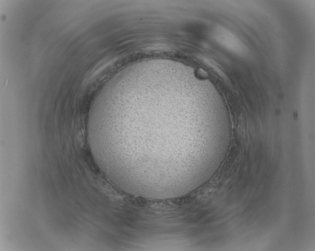 X0000073921015200609011804