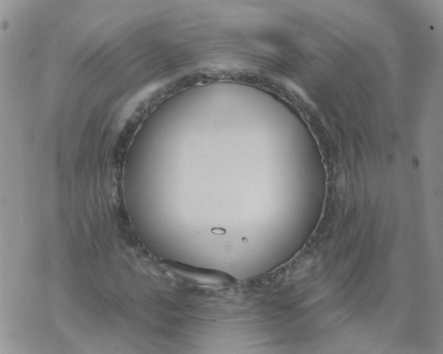 X0000073921016200609011804