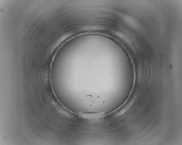 X0000073921017200609011804