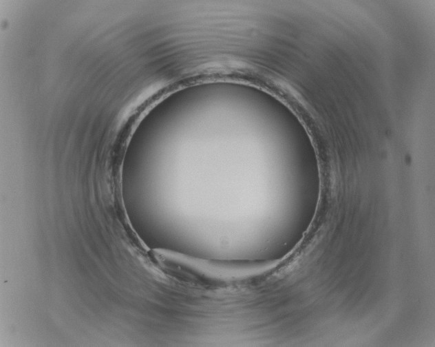 X0000073921018200609011804