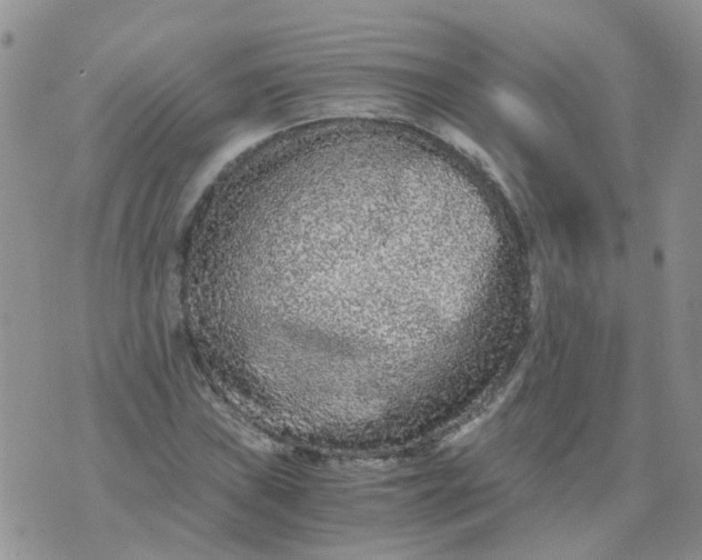 X0000073921019200609011804