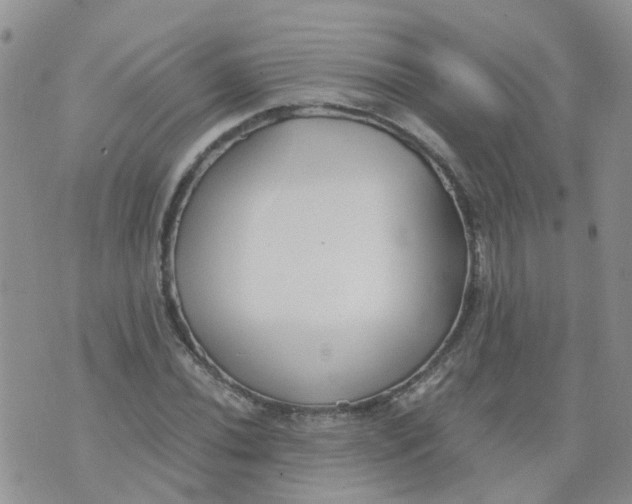 X0000073921020200609011804