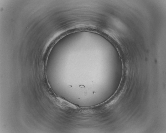 X0000073921021200609011804