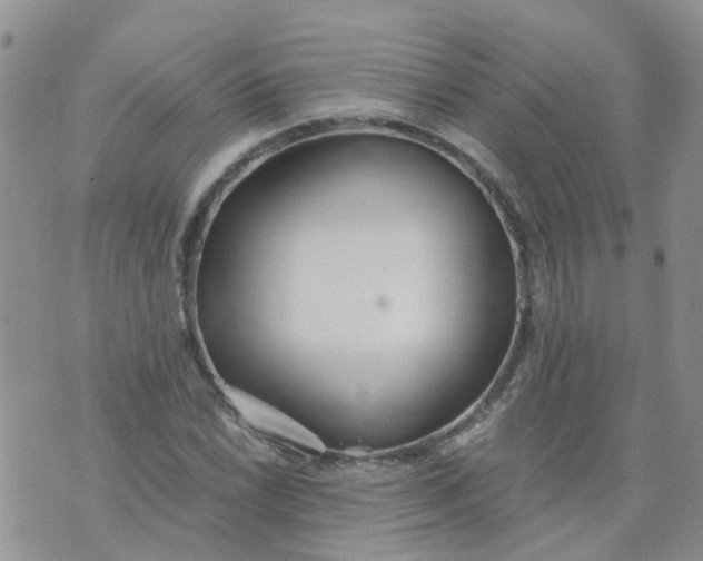 X0000073921022200609011804