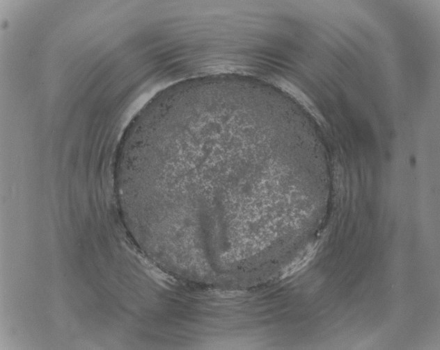 X0000073921023200609011804