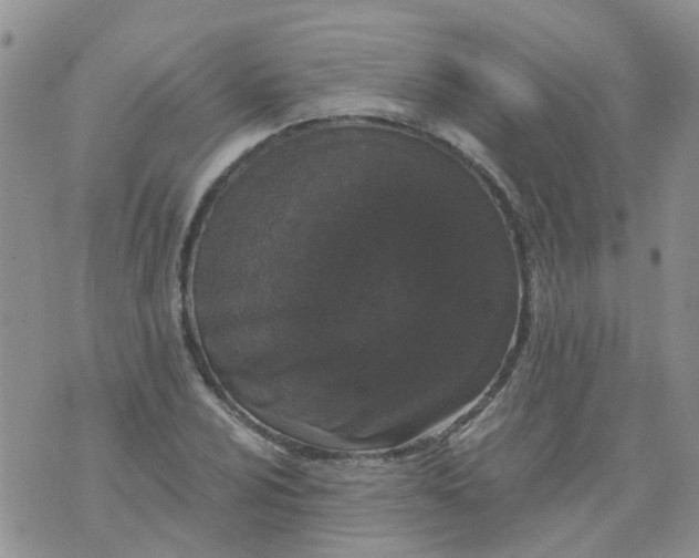 X0000073921024200609011804