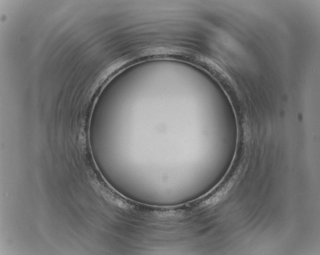 X0000073921025200609011804