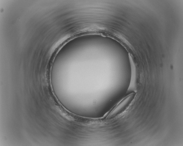 X0000073921026200609011804