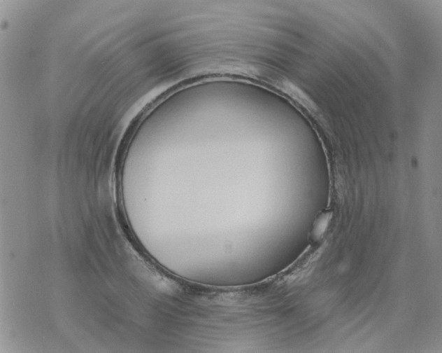 X0000073921028200609011804