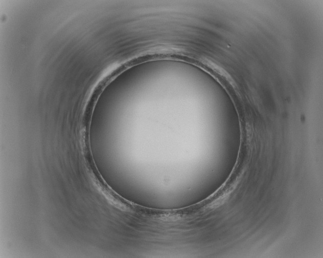 X0000073921029200609011804