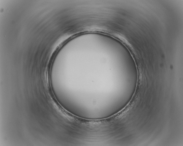 X0000073921032200609011804