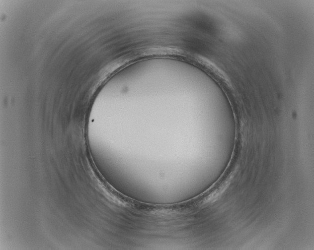 X0000073921033200609011804