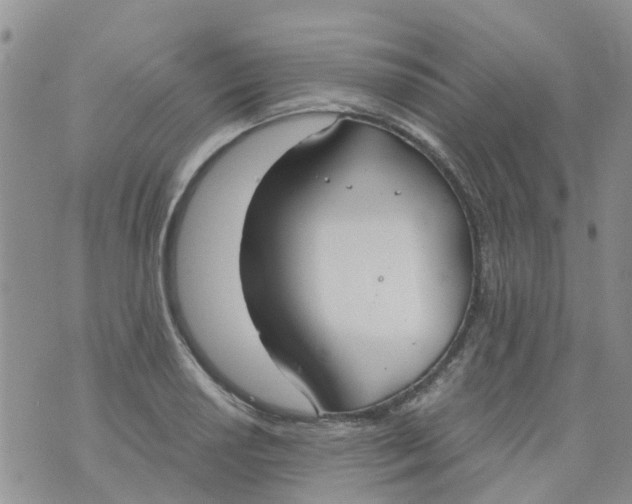 X0000073921034200609011804