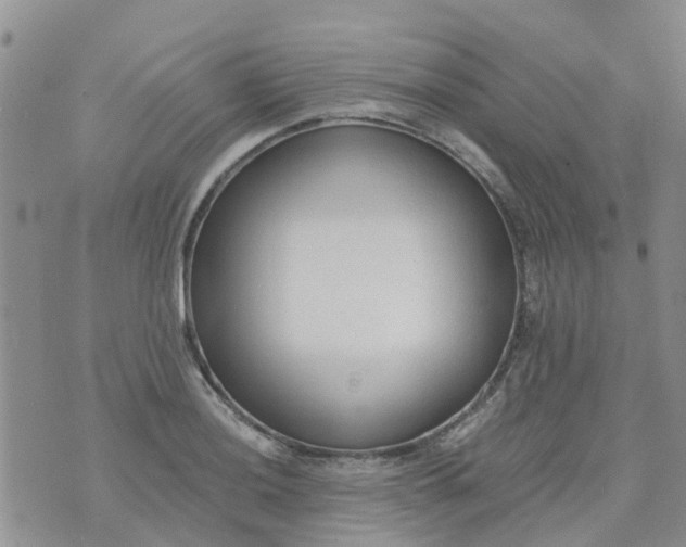 X0000073921036200609011804