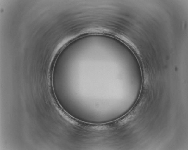 X0000073921037200609011804