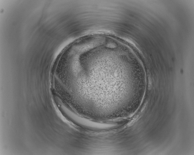 X0000073921038200609011804