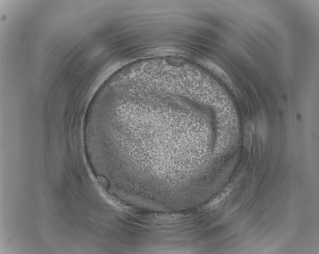 X0000073921039200609011804