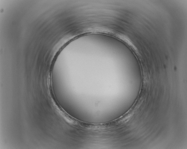 X0000073921040200609011804