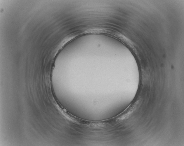 X0000073921041200609011804