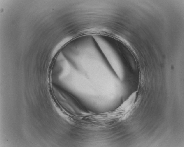 X0000073921042200609011804