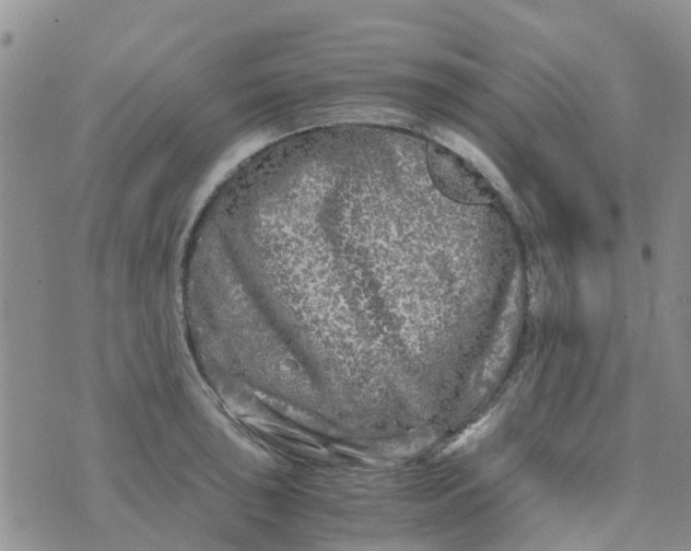 X0000073921043200609011804