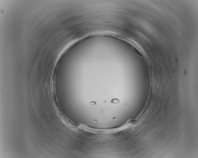 X0000073921044200609011804