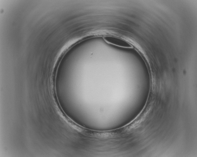 X0000073921045200609011804