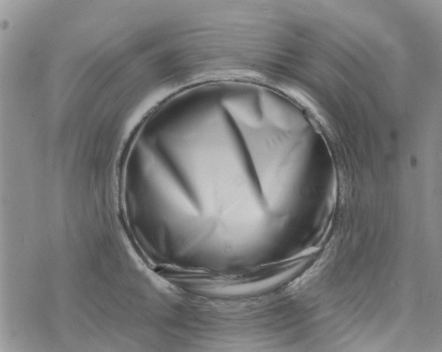 X0000073921046200609011804