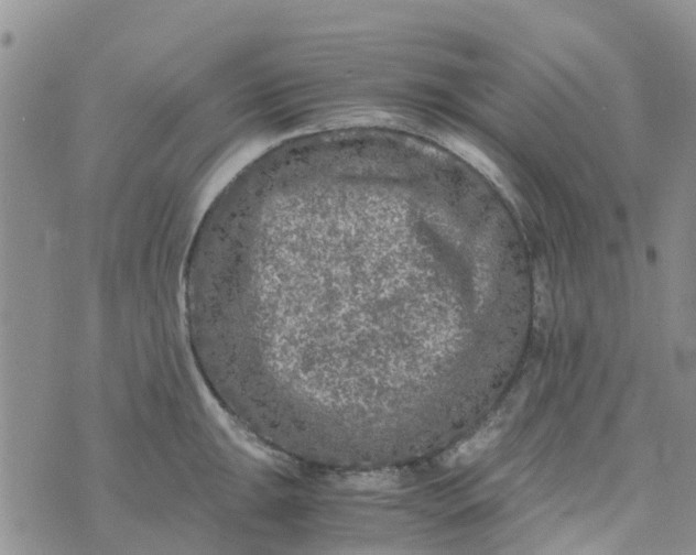 X0000073921047200609011804