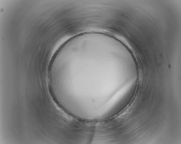 X0000073921048200609011804