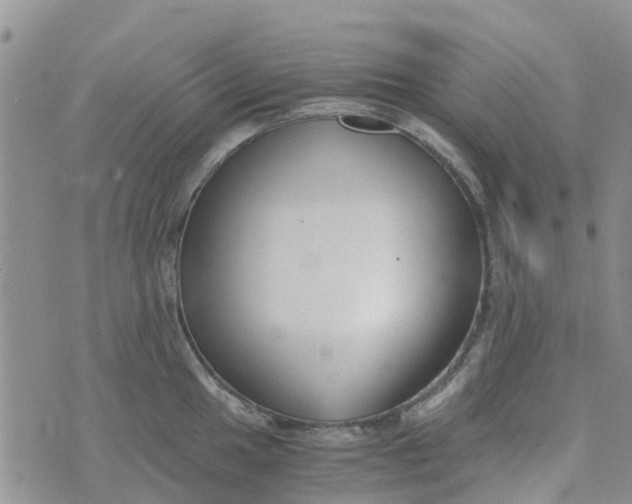 X0000073921049200609011804