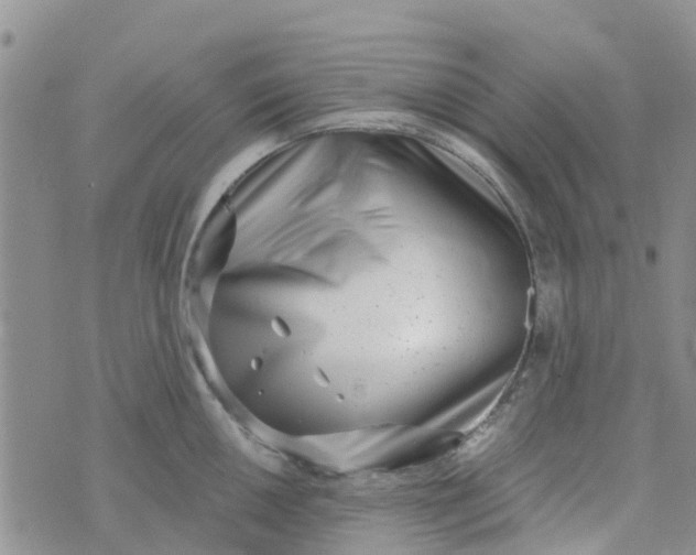 X0000073921050200609011804