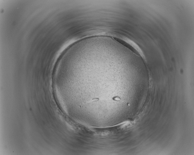 X0000073921051200609011804