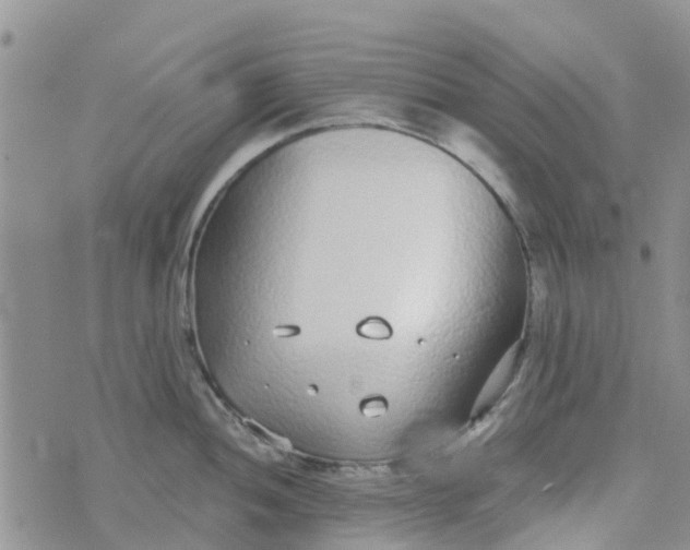 X0000073921052200609011804