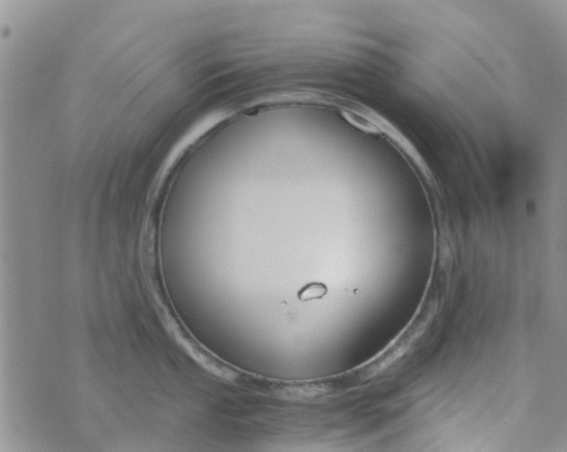 X0000073921053200609011804