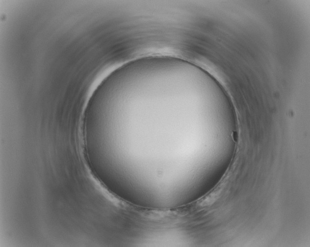 X0000073921056200609011804