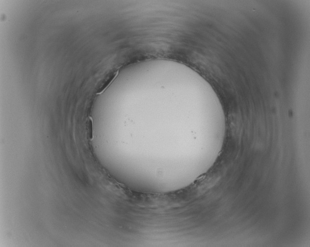 X0000073921057200609011803