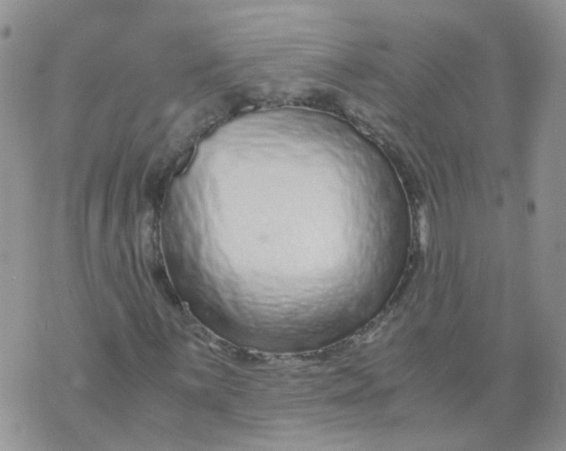 X0000073921059200609011803