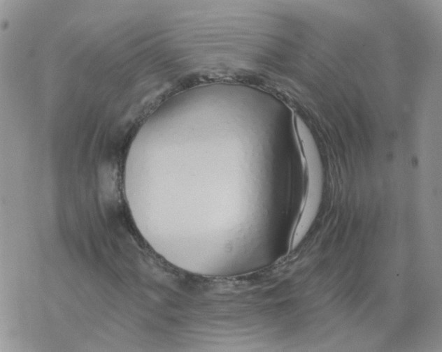 X0000073921060200609011803