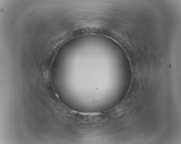 X0000073921061200609011803