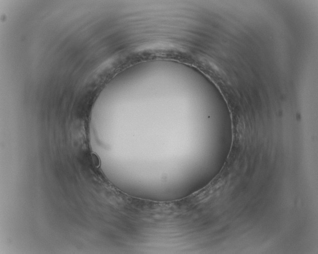 X0000073921062200609011803